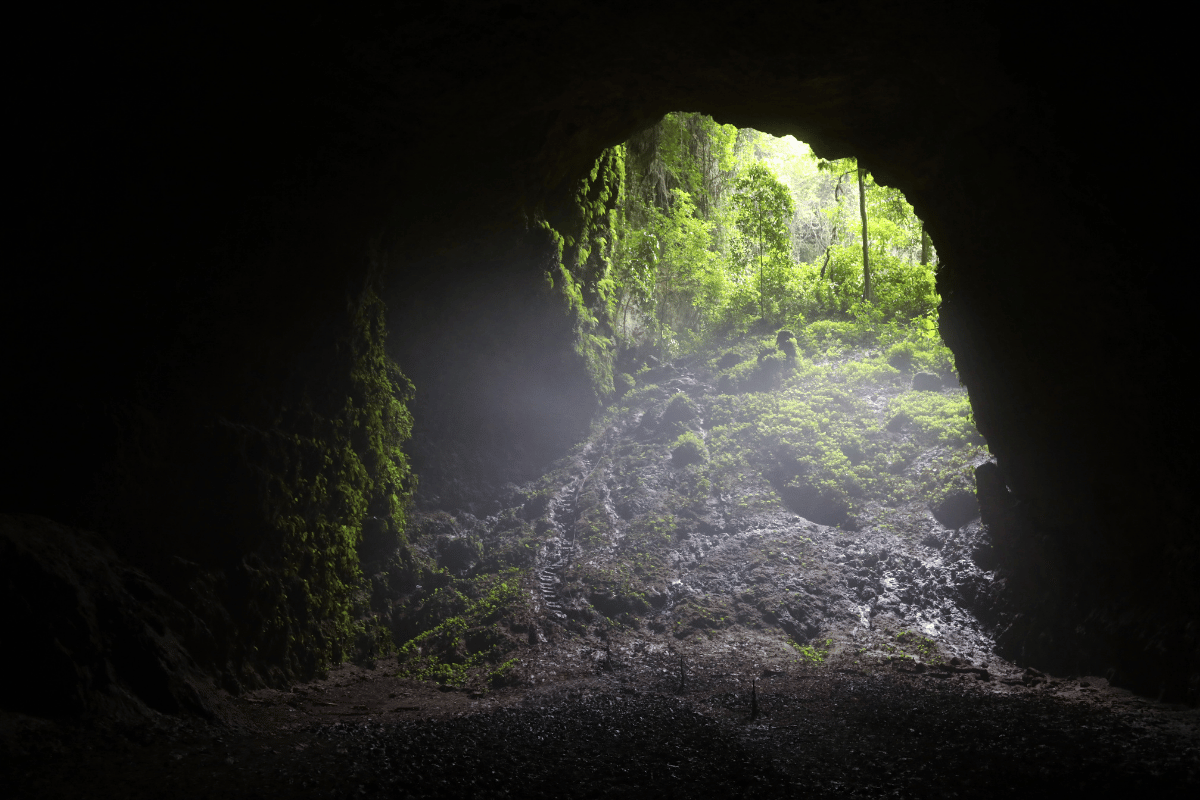 Adventure Awaits: Explore Jomblang Cave and Oyo River Tubing